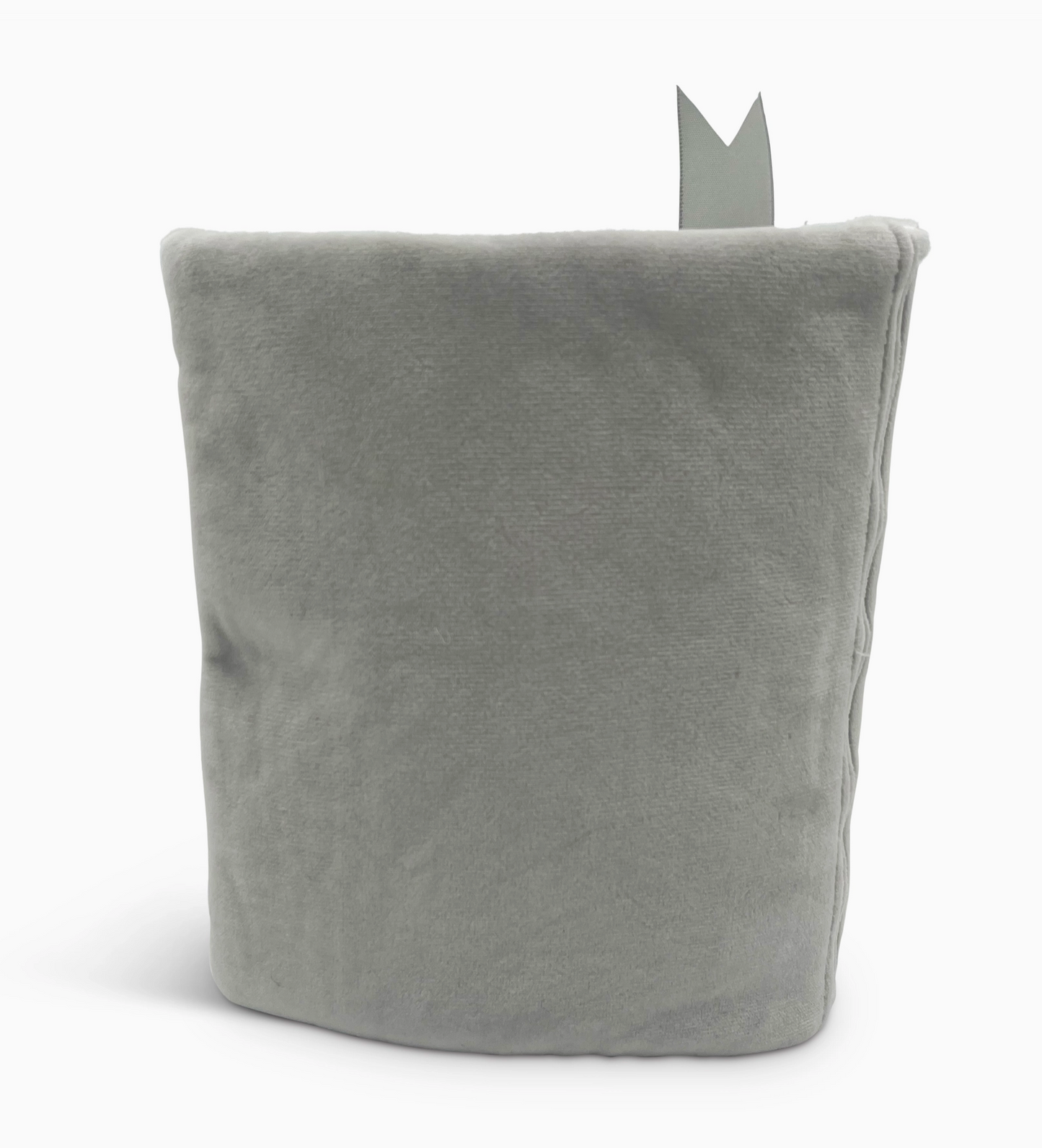 I Like My Main Characters Morally Grey Book Plushie