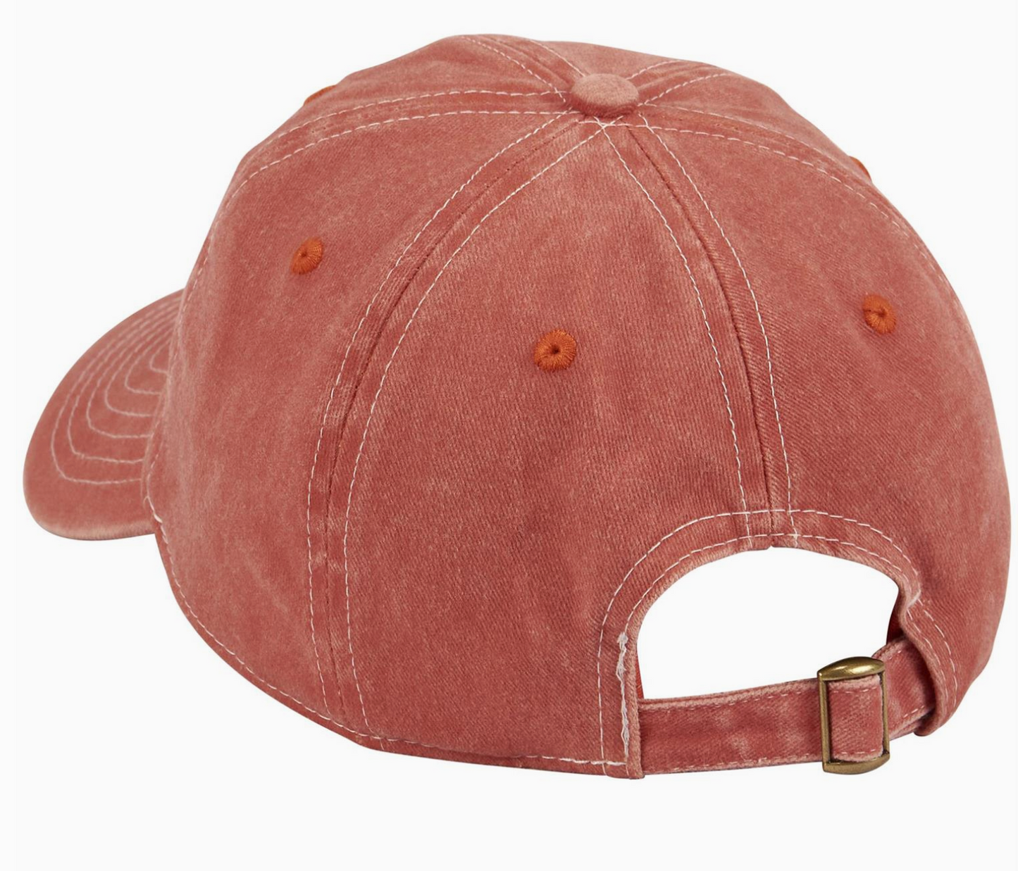 Absolutely Not Embroidered Hat