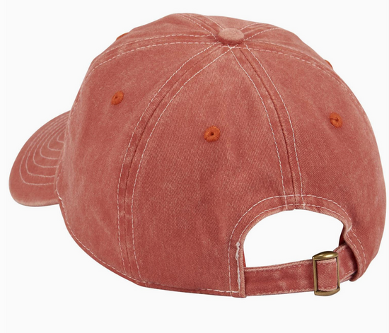 Absolutely Not Embroidered Hat