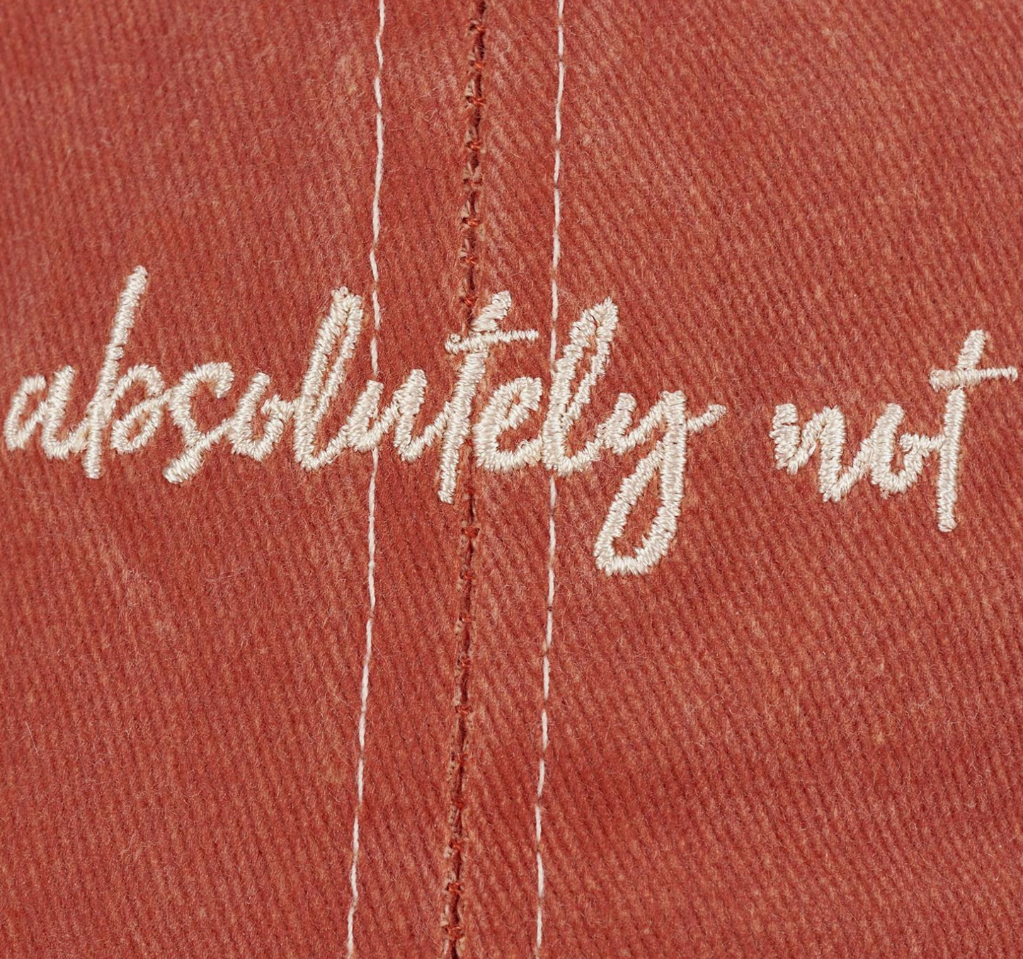 Absolutely Not Embroidered Hat
