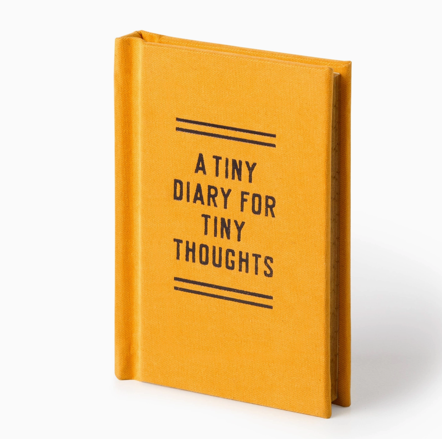A Tiny Diary For Tiny Thoughts