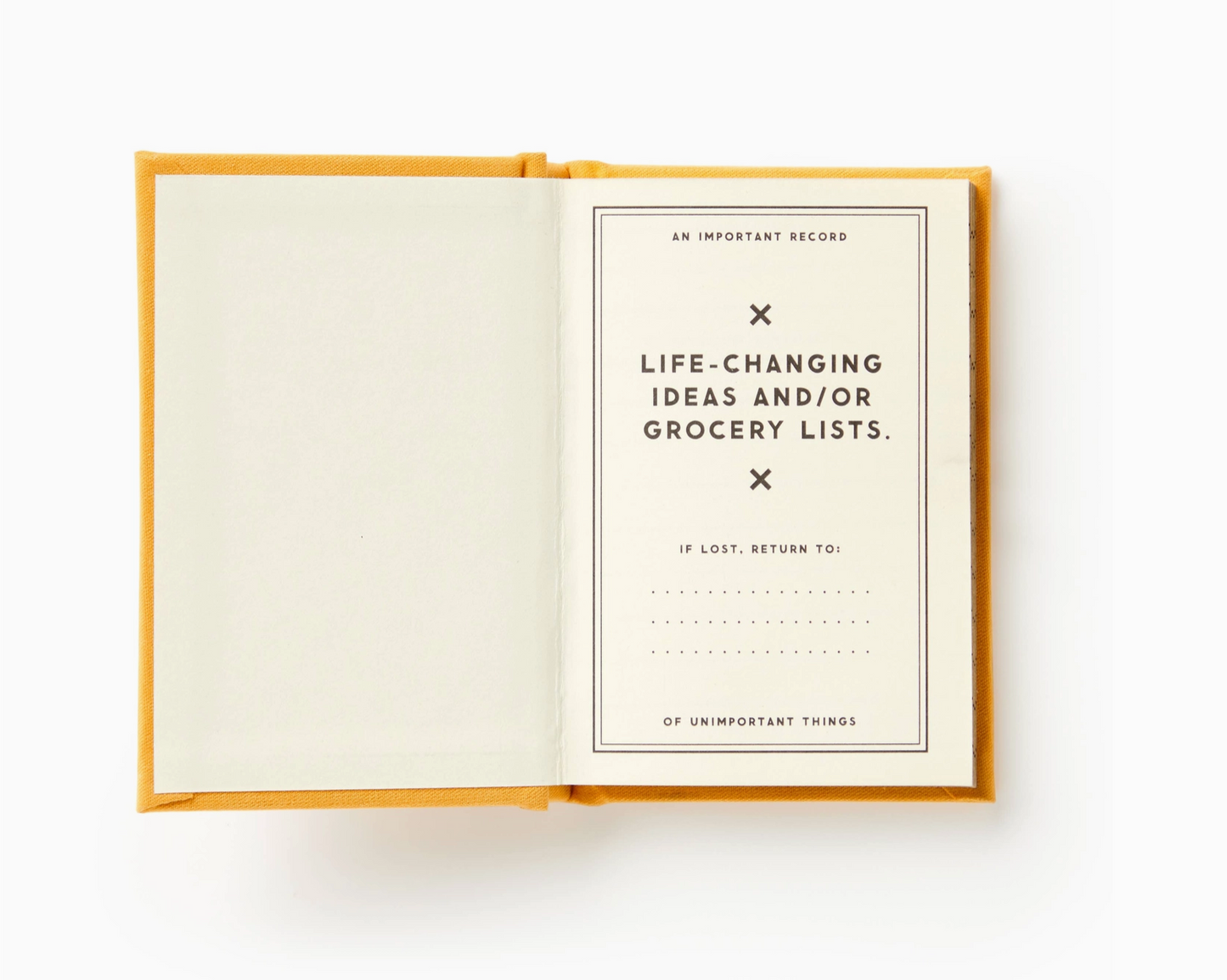 A Tiny Diary For Tiny Thoughts