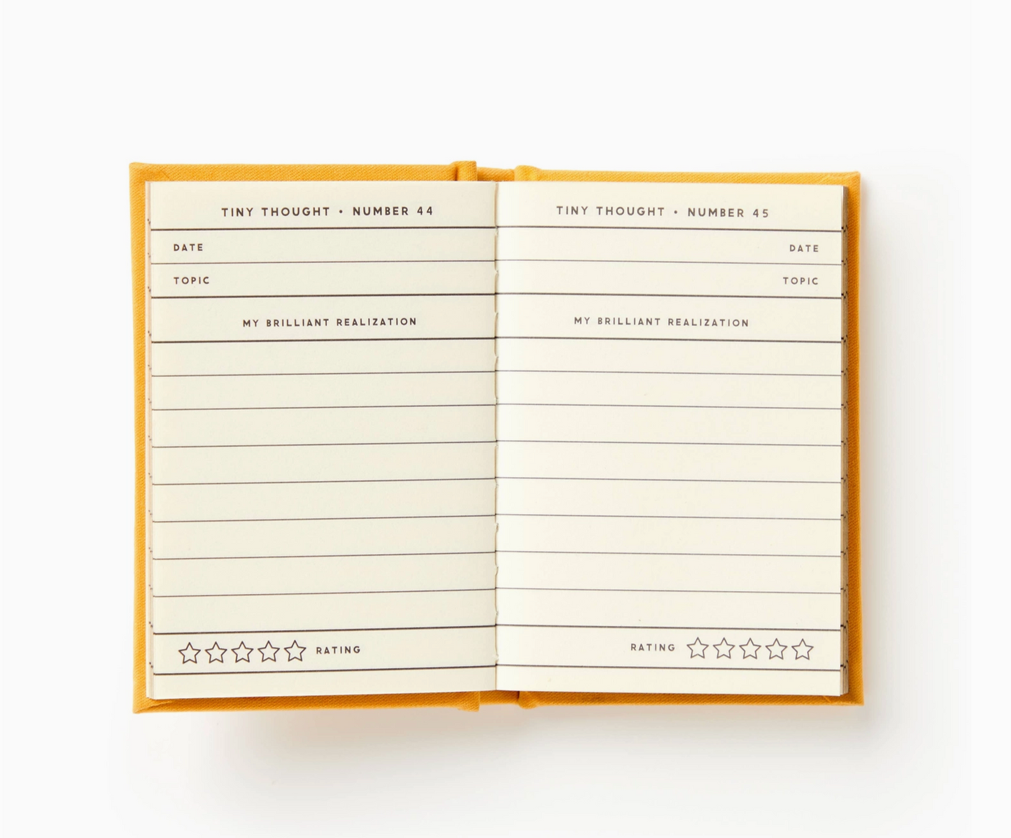 A Tiny Diary For Tiny Thoughts