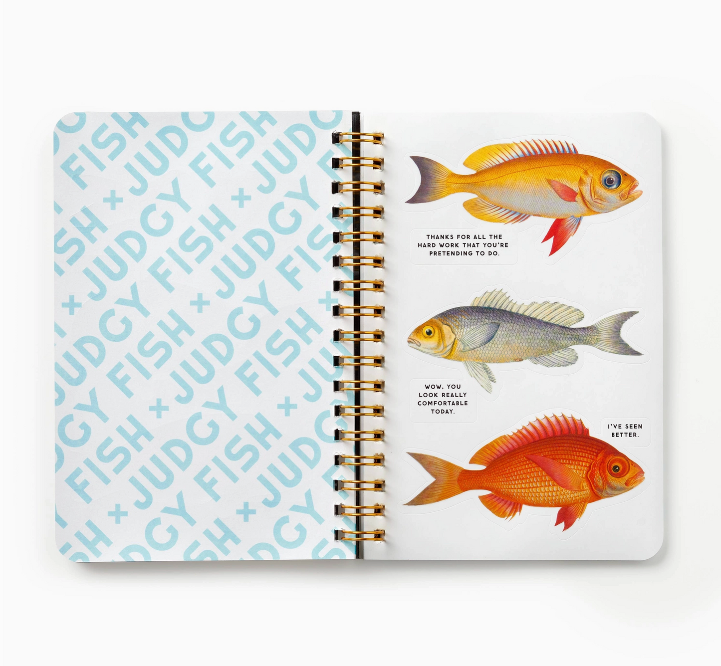 Judgy Fish Sticker Book