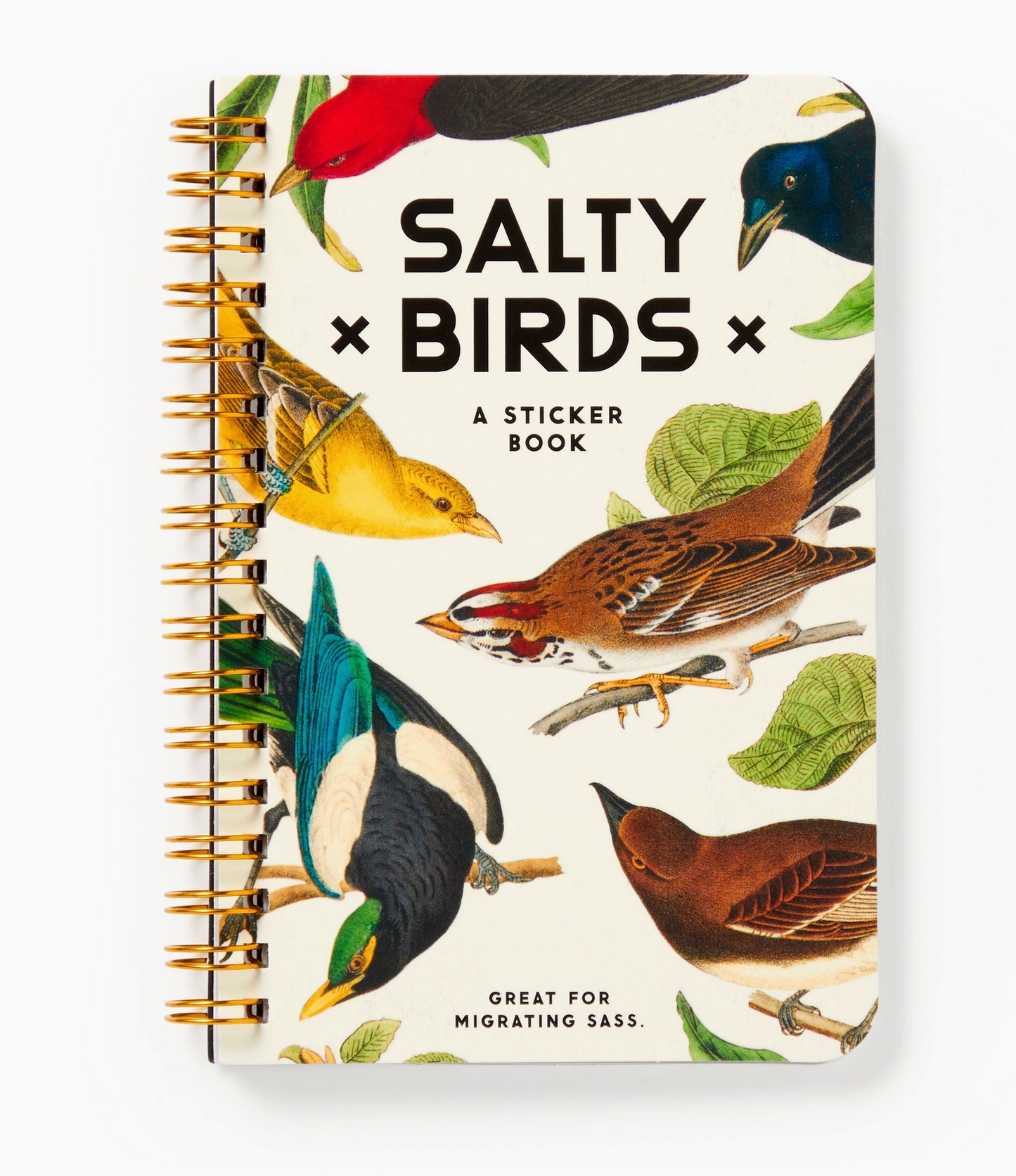 Salty Birds Sticker Book