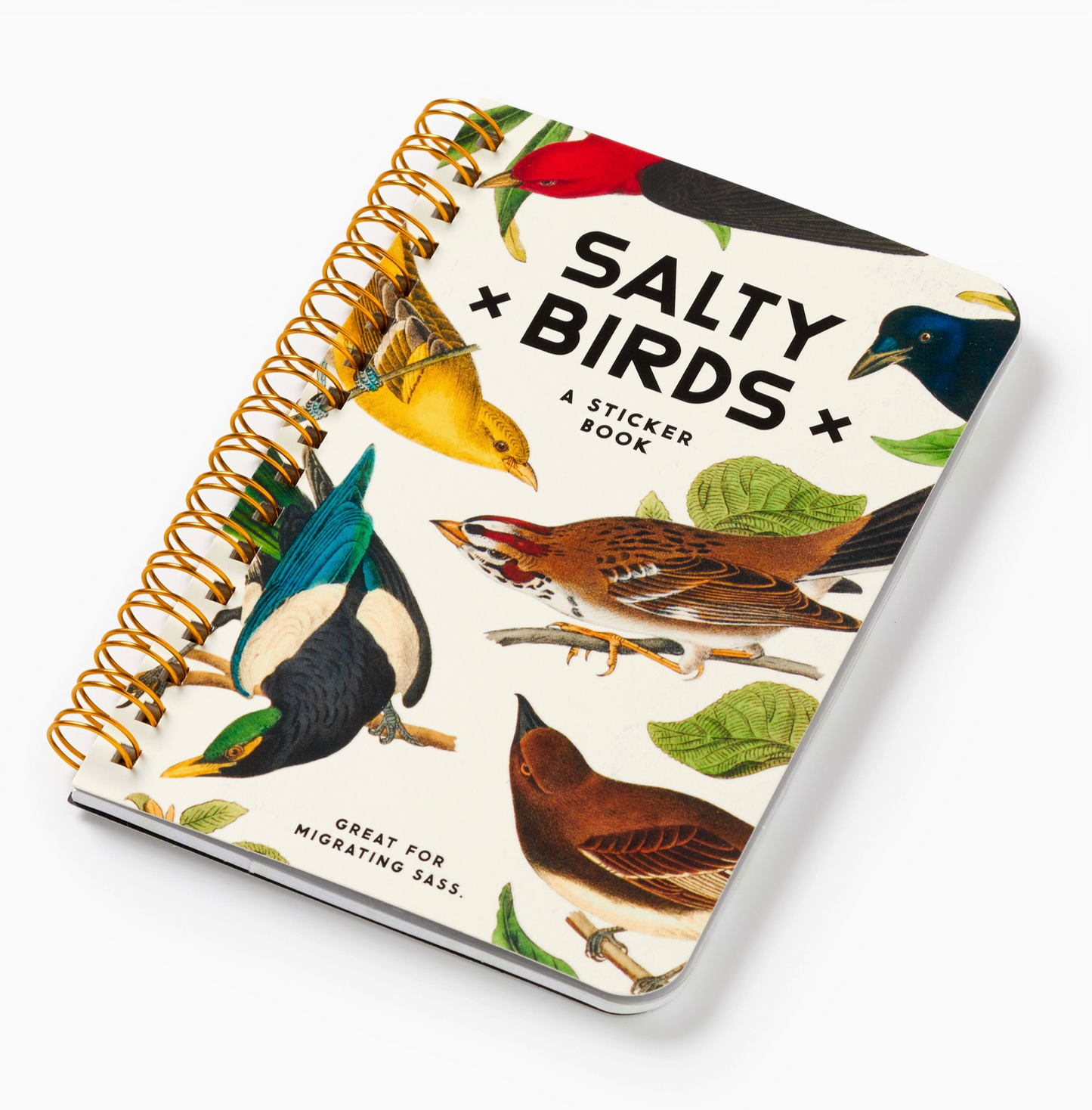 Salty Birds Sticker Book