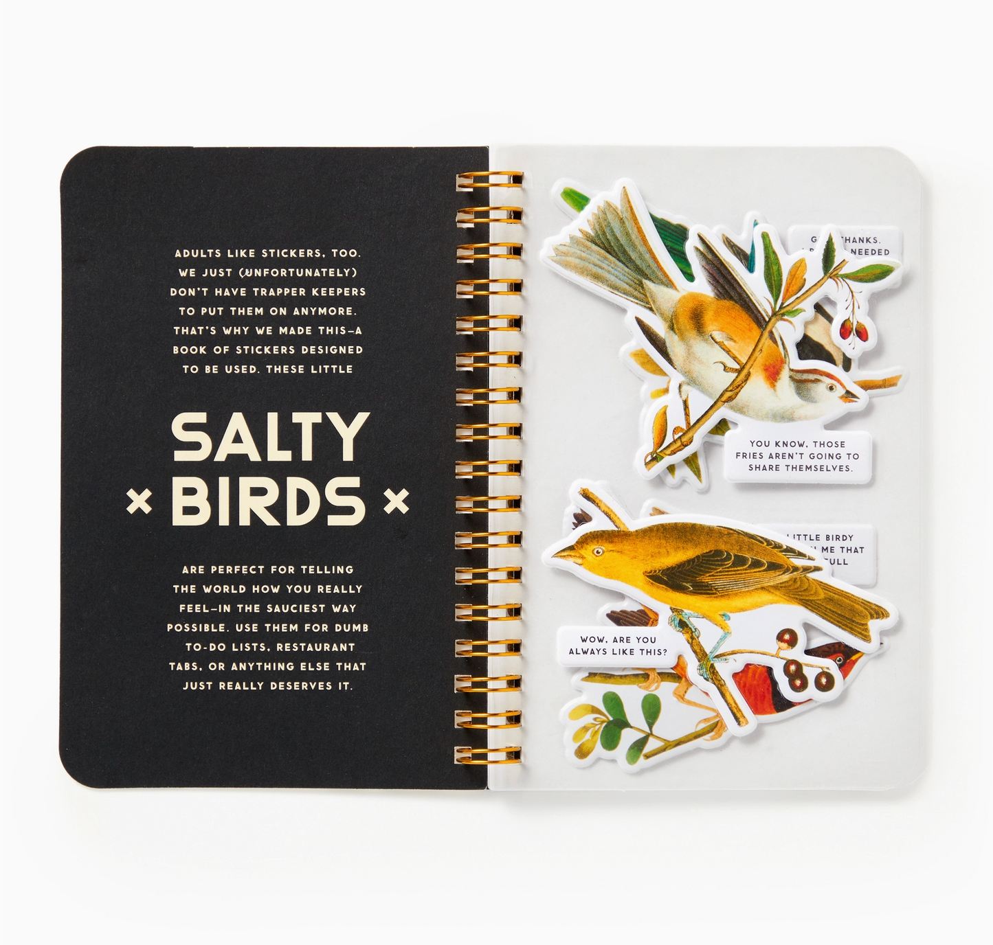 Salty Birds Sticker Book