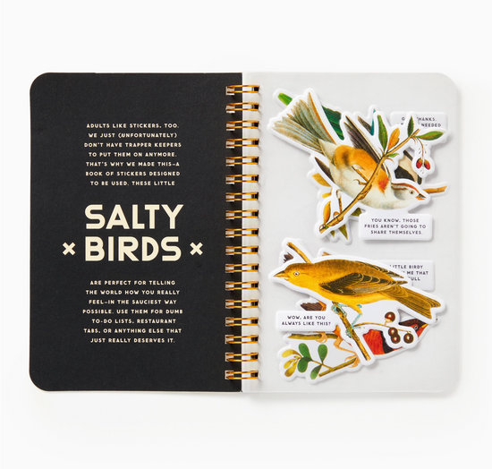 Salty Birds Sticker Book