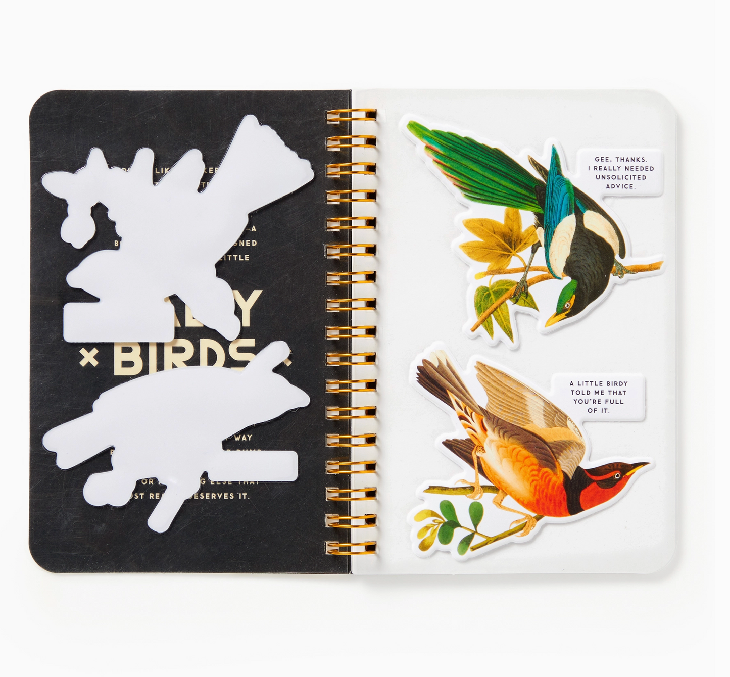 Salty Birds Sticker Book