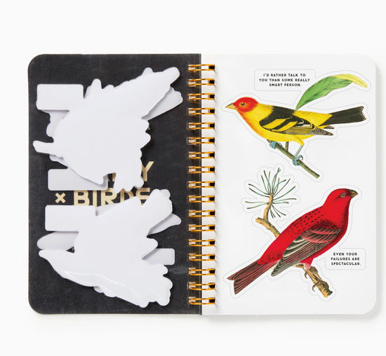 Salty Birds Sticker Book
