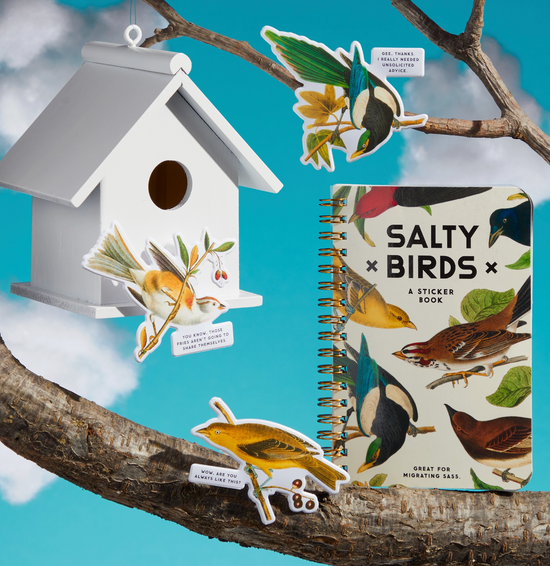 Salty Birds Sticker Book