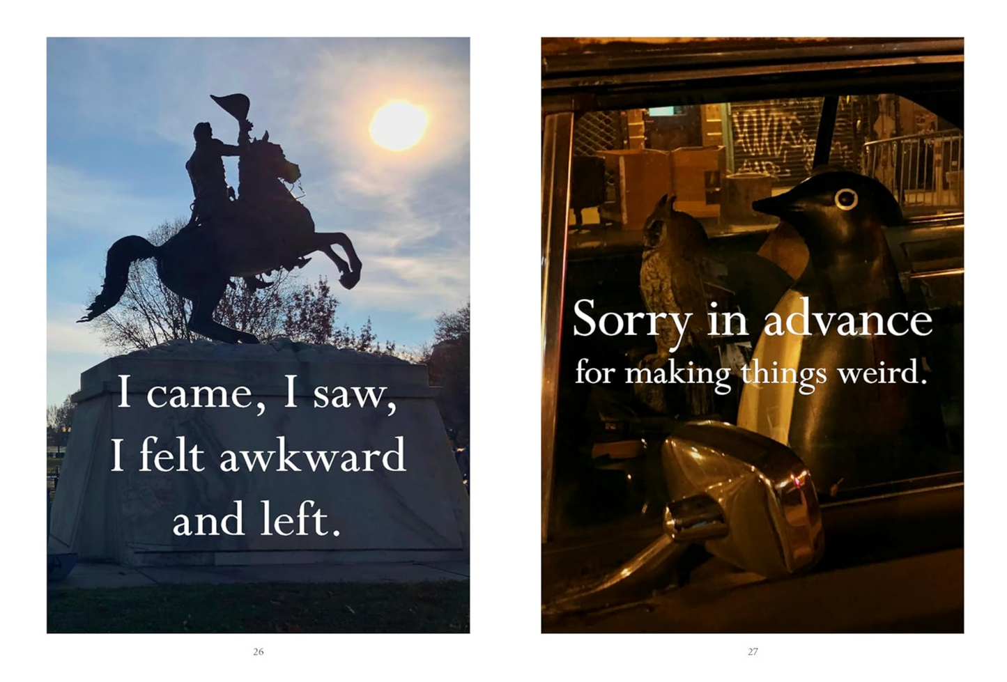 Sorry in advance for making things weird.: A Disappointing Affirmations Collection