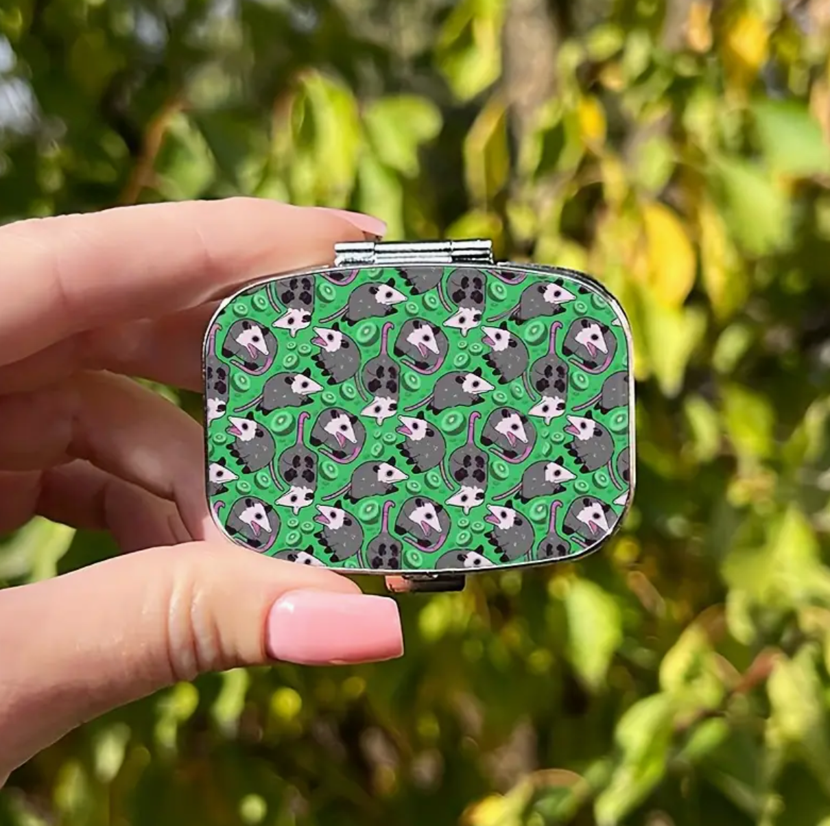 Opossum Themed Pill Box