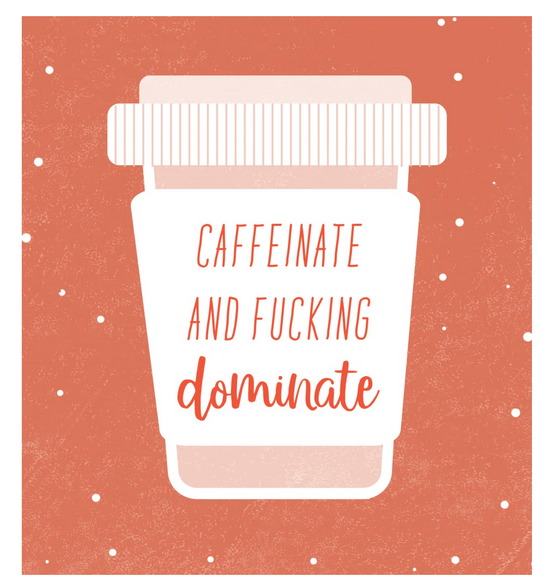 Ray of F*cking Sunshine Sticky Notes: 101 Happiness Notes to Swear and Share