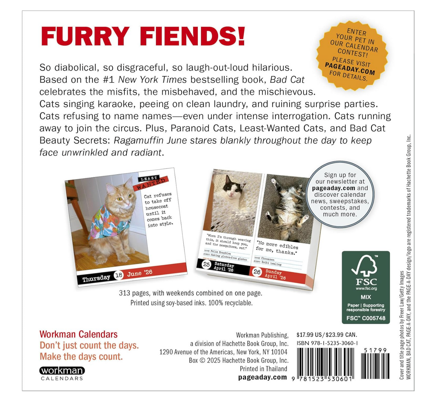 Bad Cat Page-A-Day® Calendar 2026: 365 Not-So-Pretty Kitties