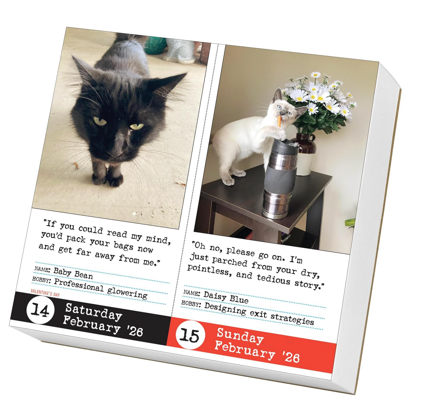Bad Cat Page-A-Day® Calendar 2026: 365 Not-So-Pretty Kitties