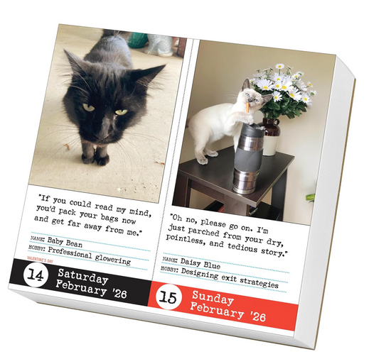 Bad Cat Page-A-Day® Calendar 2026: 365 Not-So-Pretty Kitties