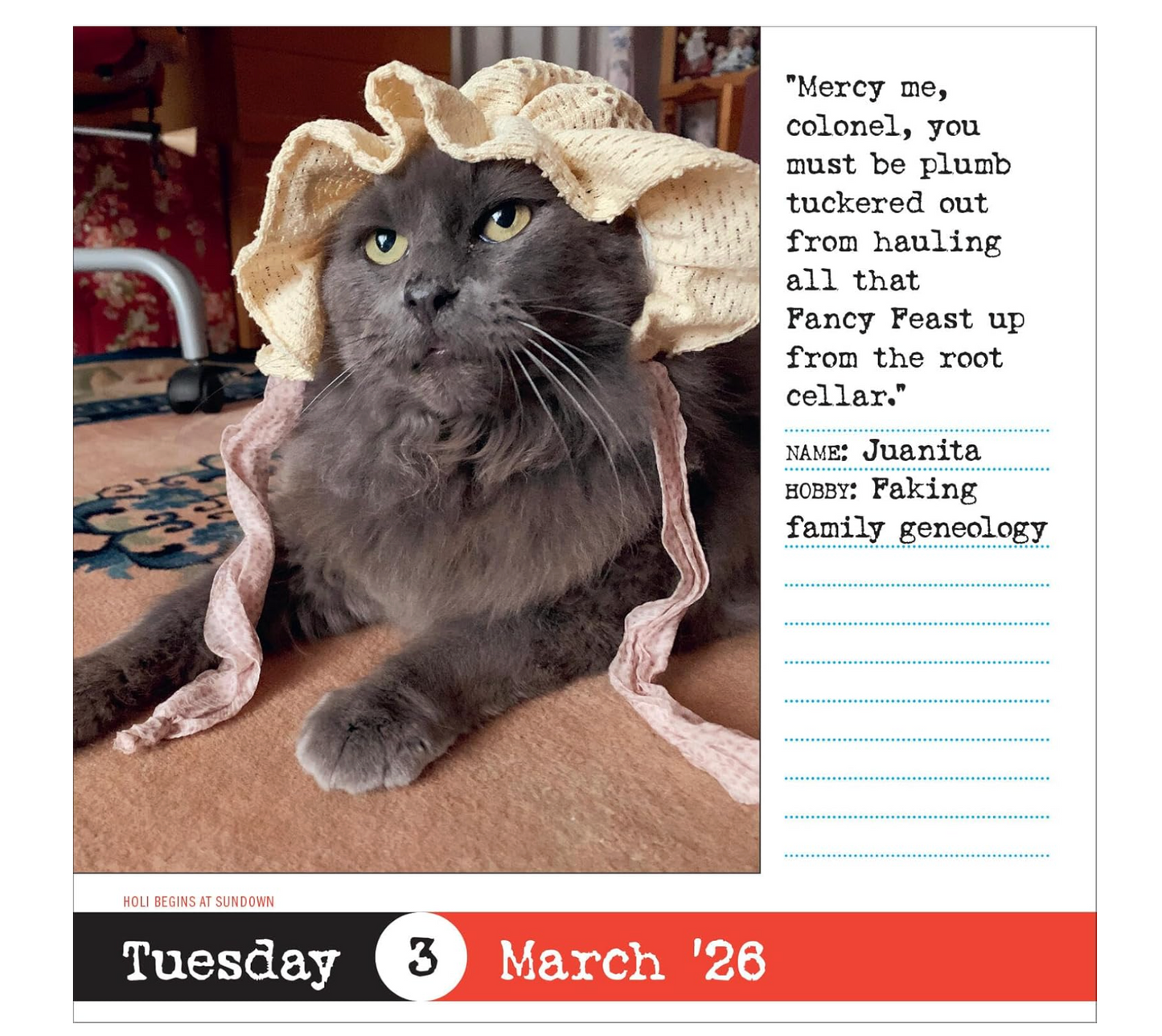 Bad Cat Page-A-Day® Calendar 2026: 365 Not-So-Pretty Kitties