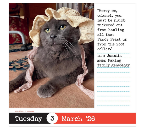 Bad Cat Page-A-Day® Calendar 2026: 365 Not-So-Pretty Kitties