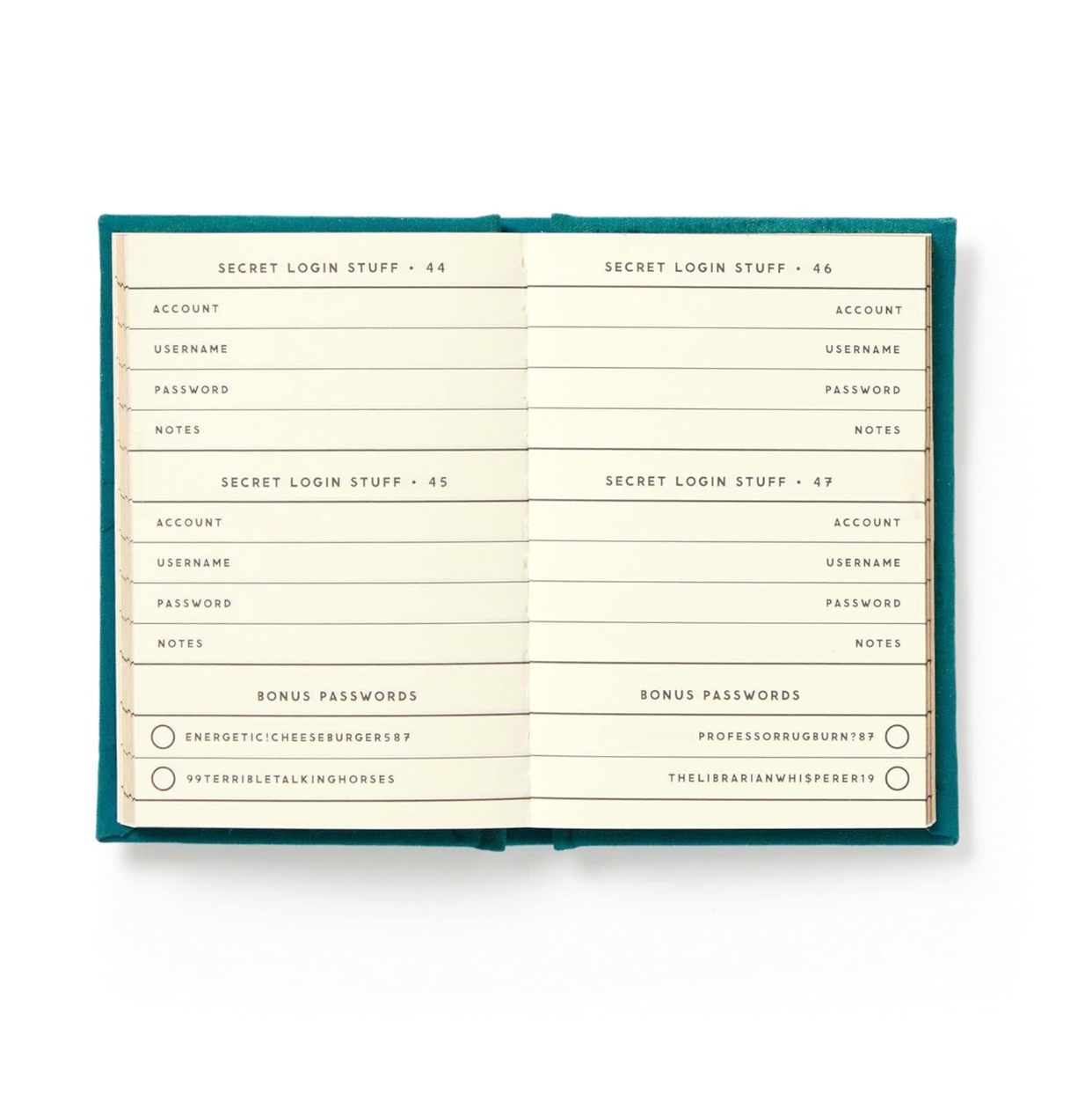 Tiny Definitely Not My Passwords Diary