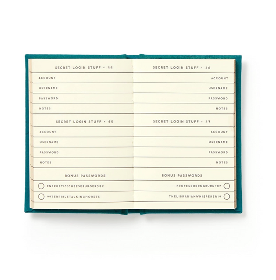 Tiny Definitely Not My Passwords Diary