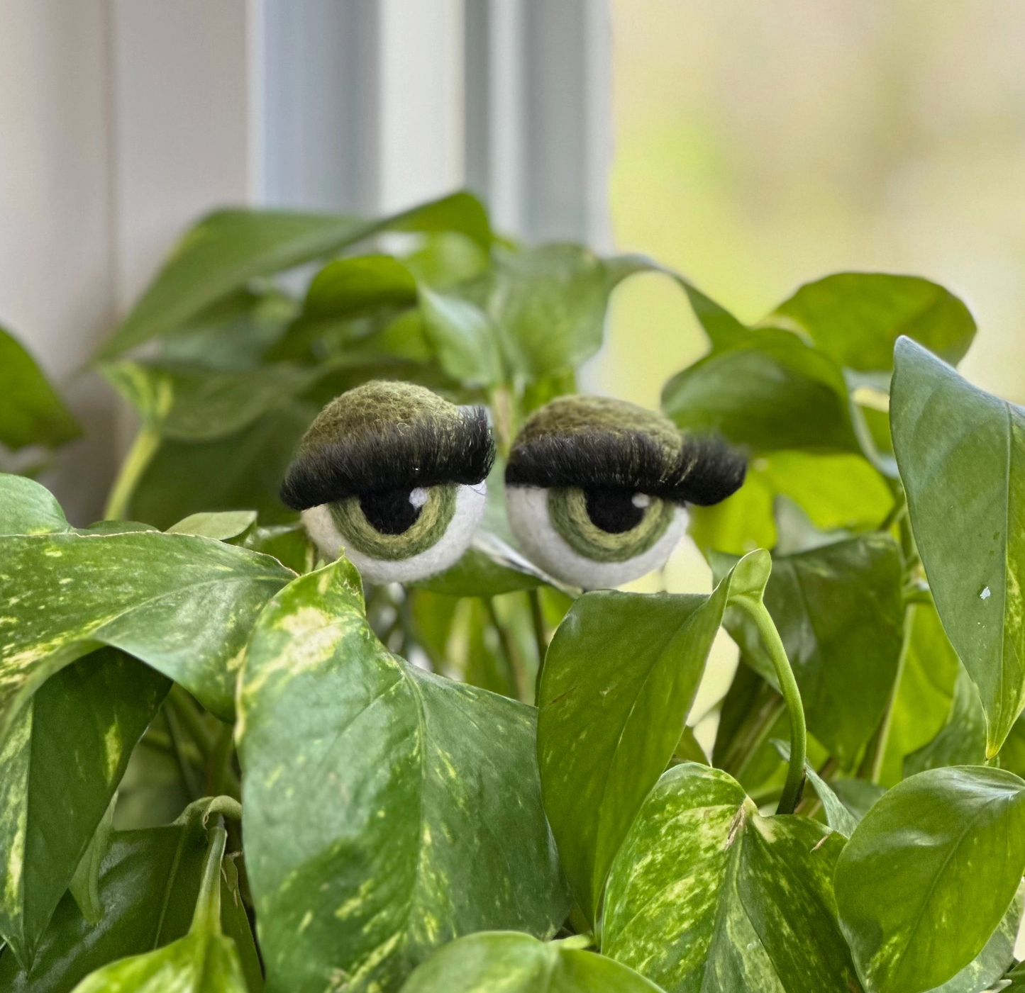 Hand-Felted Planter Eyeballs with Eyelashes