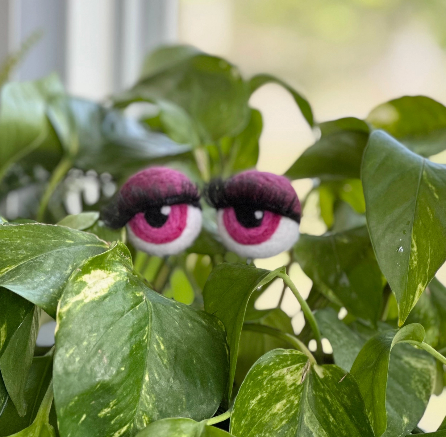 Hand-Felted Planter Eyeballs with Eyelashes
