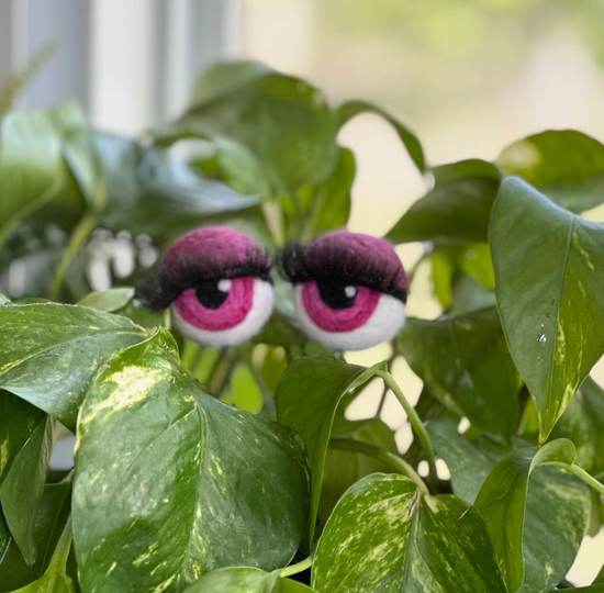 Hand-Felted Planter Eyeballs with Eyelashes