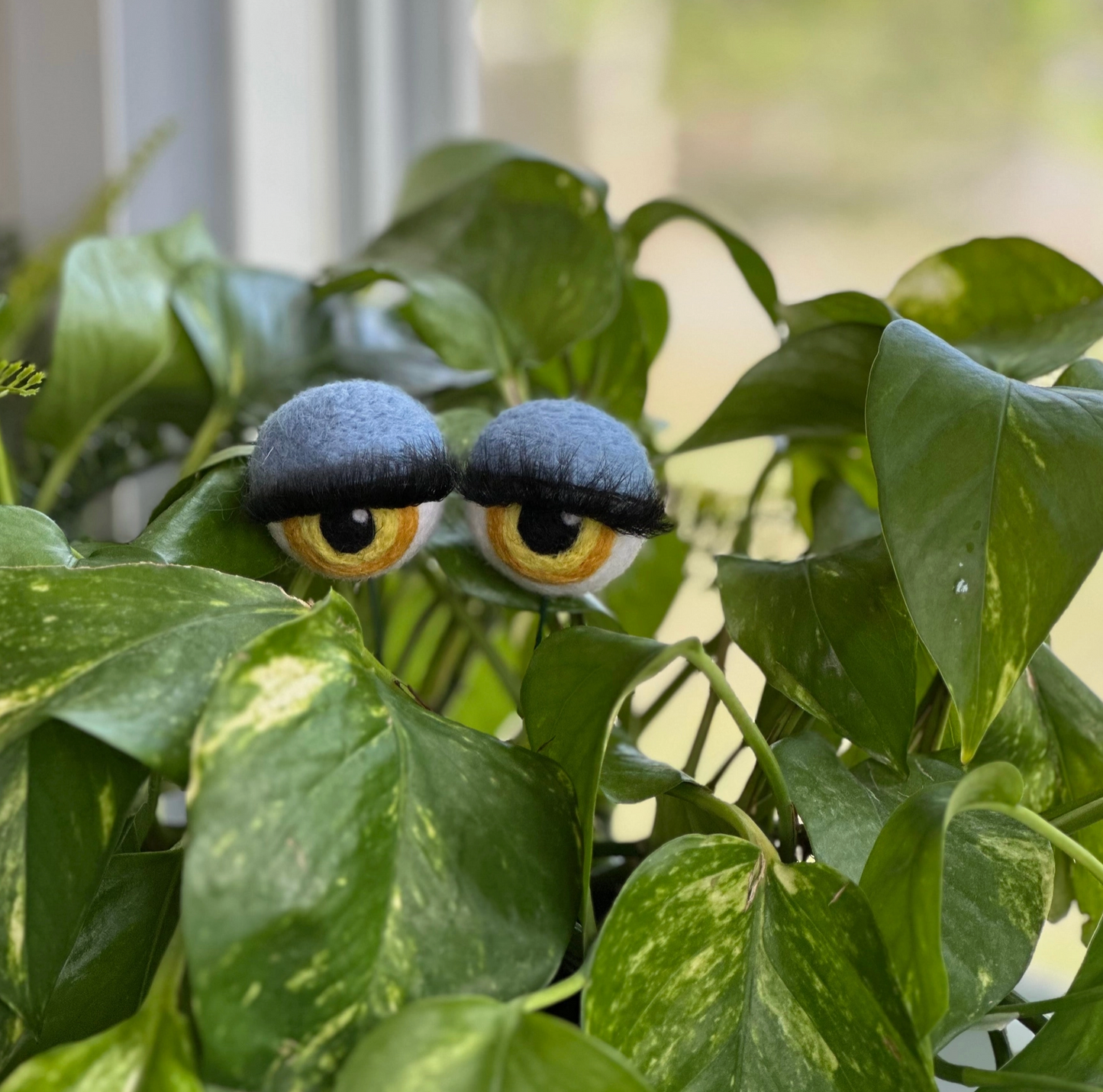 Hand-Felted Planter Eyeballs with Eyelashes