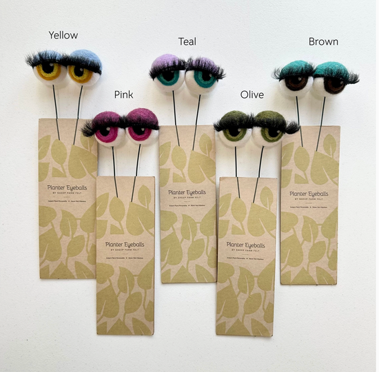 Hand-Felted Planter Eyeballs with Eyelashes