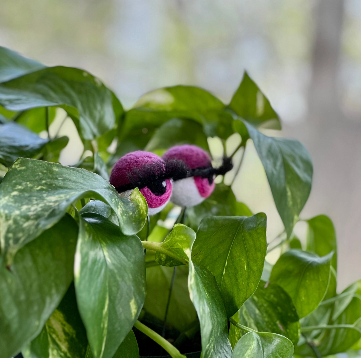Hand-Felted Planter Eyeballs with Eyelashes