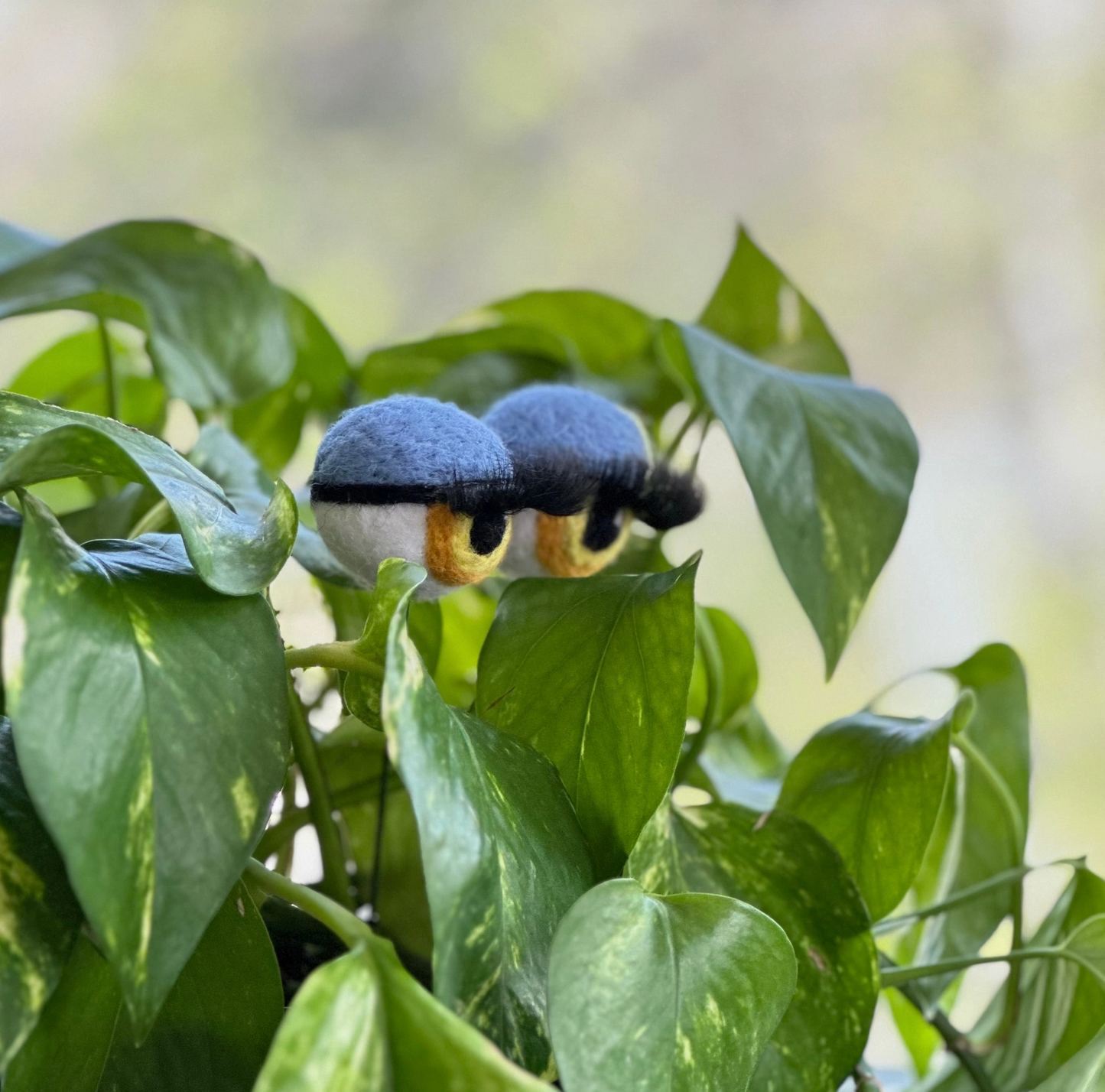 Hand-Felted Planter Eyeballs with Eyelashes