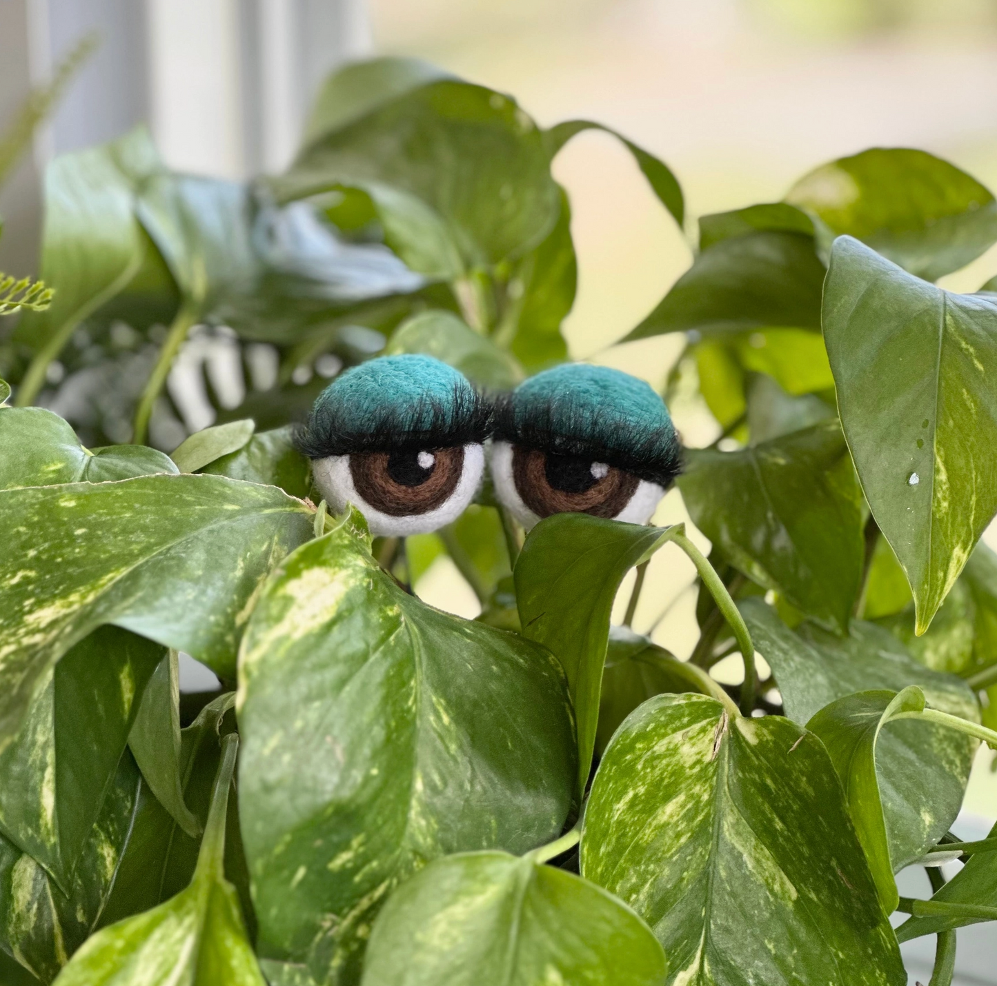 Hand-Felted Planter Eyeballs with Eyelashes