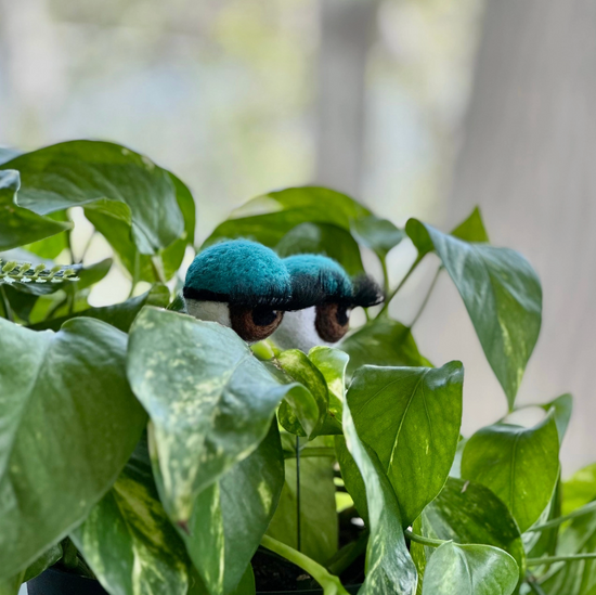 Hand-Felted Planter Eyeballs with Eyelashes