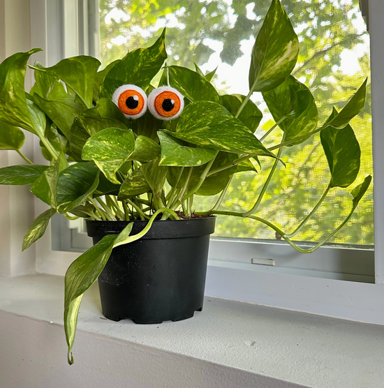 Hand-Felted Plant Eyes (No Eyelashes)