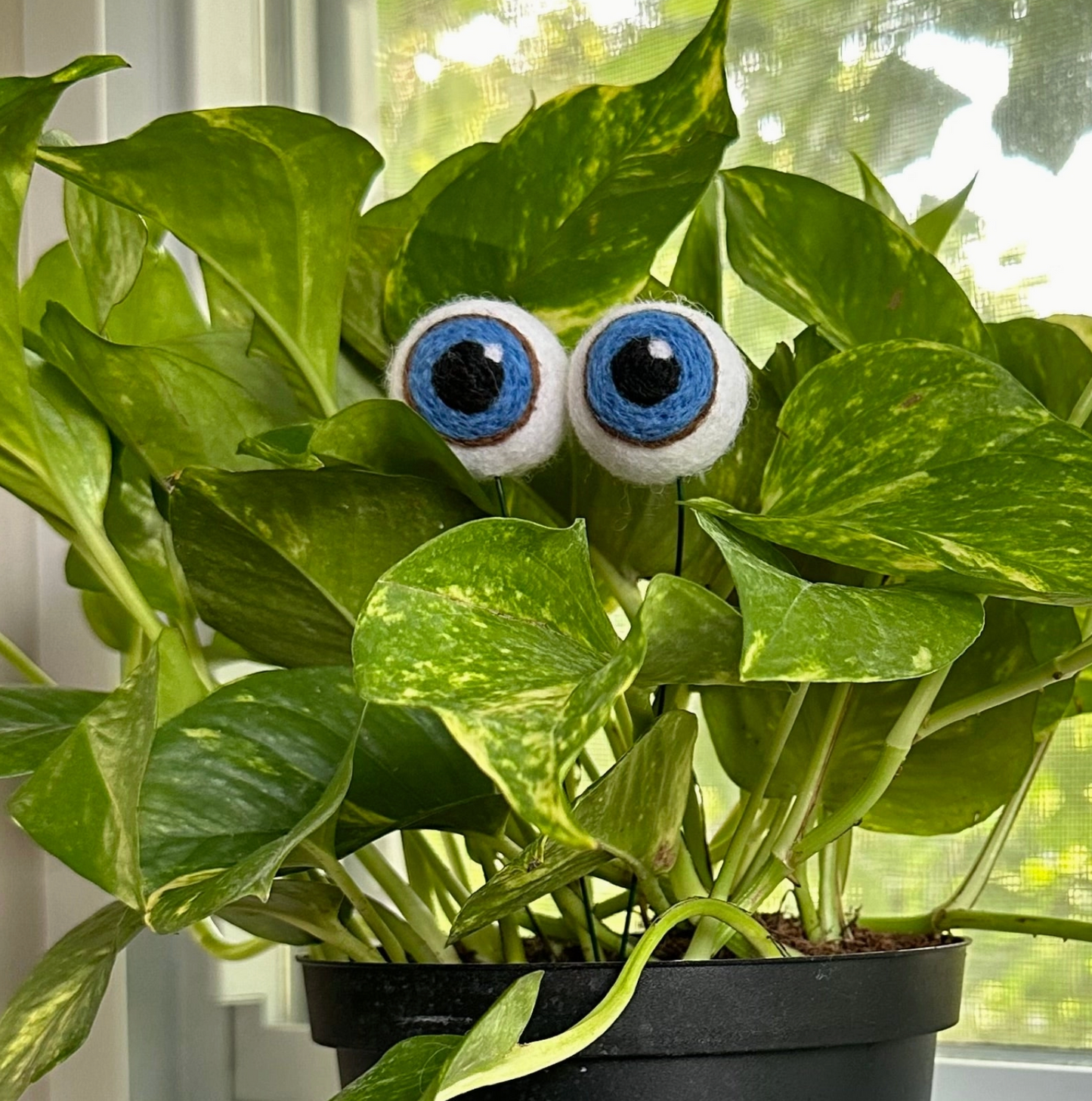 Hand-Felted Plant Eyes (No Eyelashes)