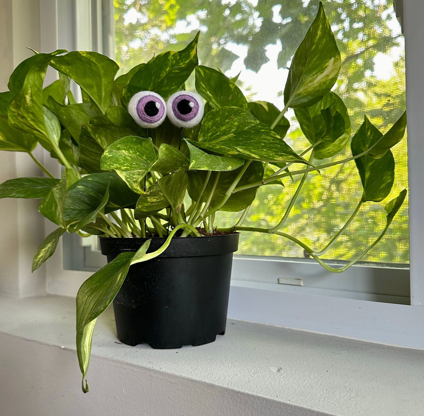 Hand-Felted Plant Eyes (No Eyelashes)