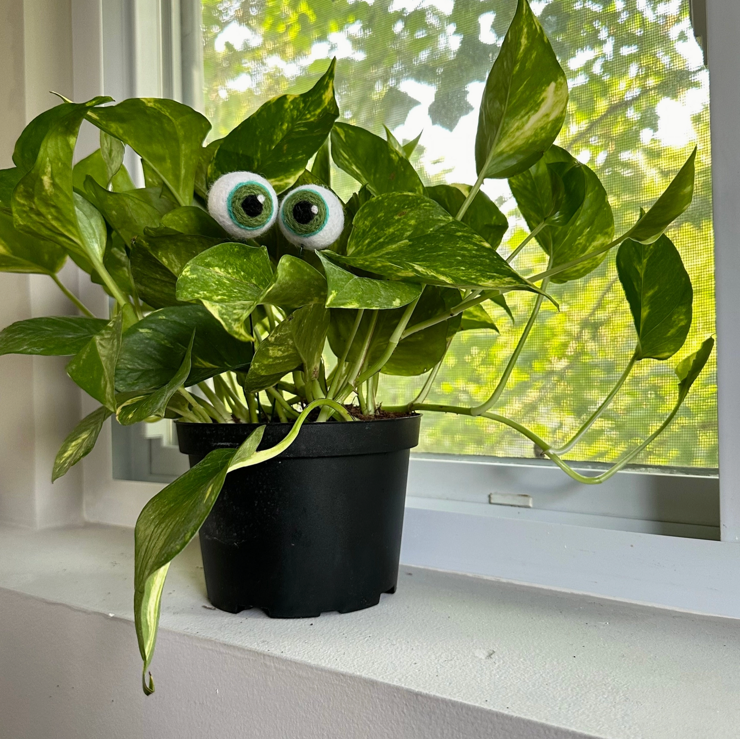 Hand-Felted Plant Eyes (No Eyelashes)