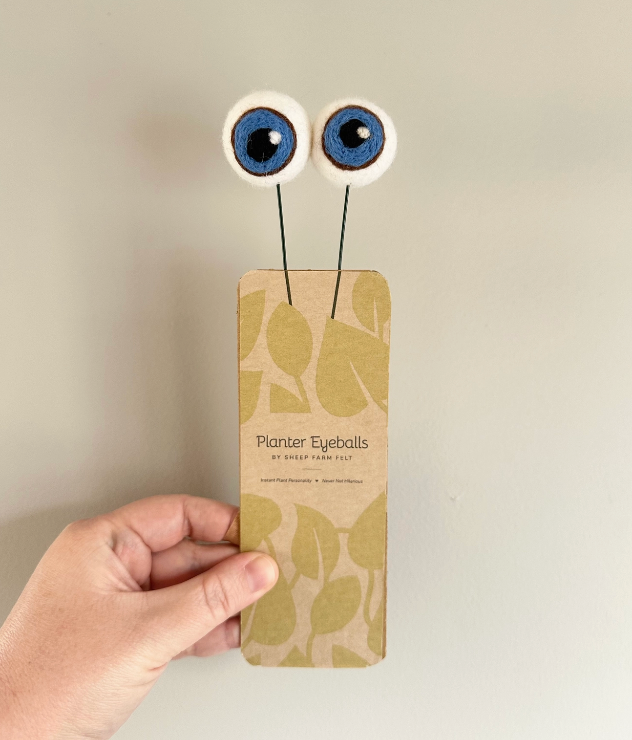 Hand-Felted Plant Eyes (No Eyelashes)