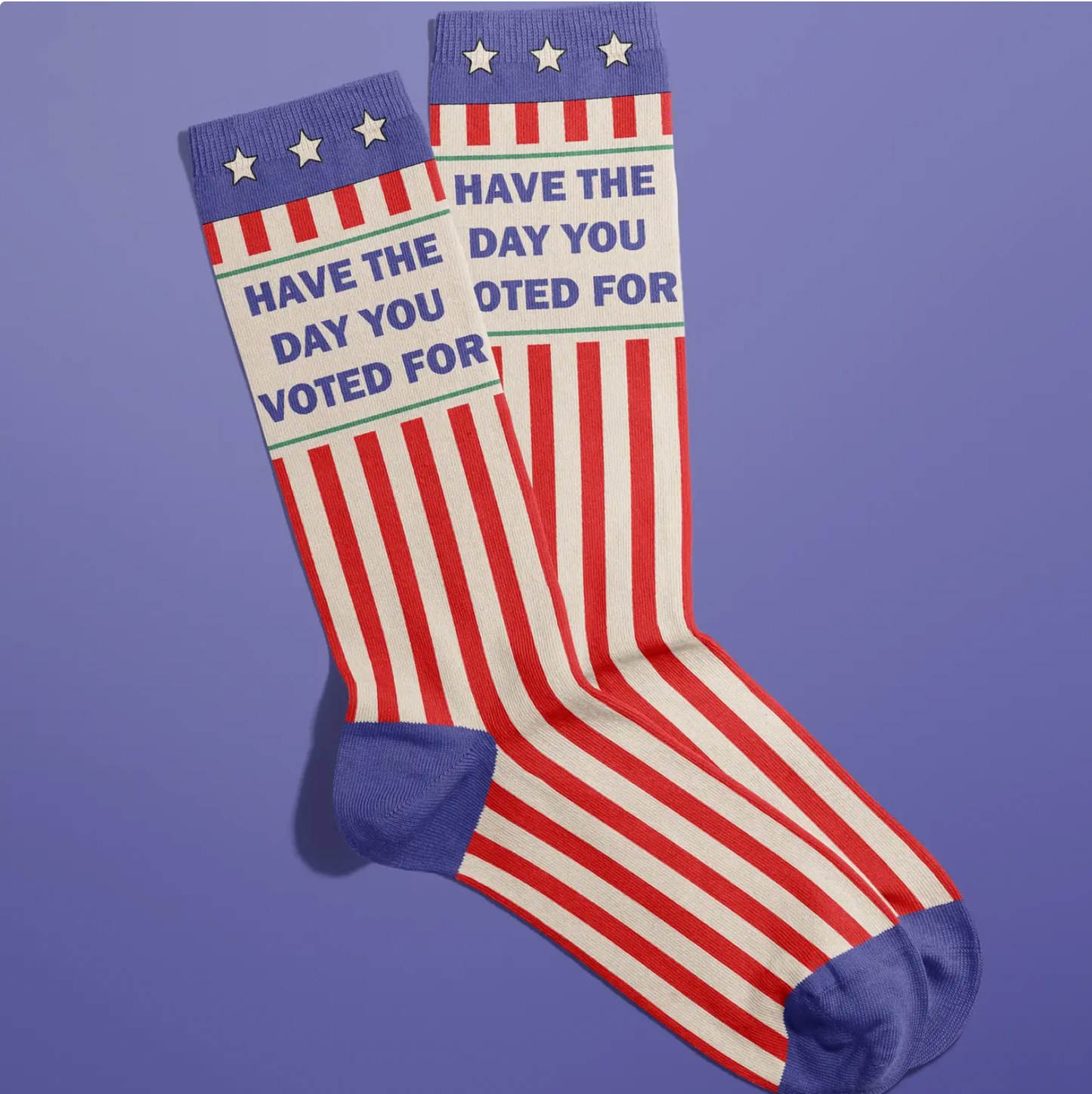 Have The Day You Voted For Socks