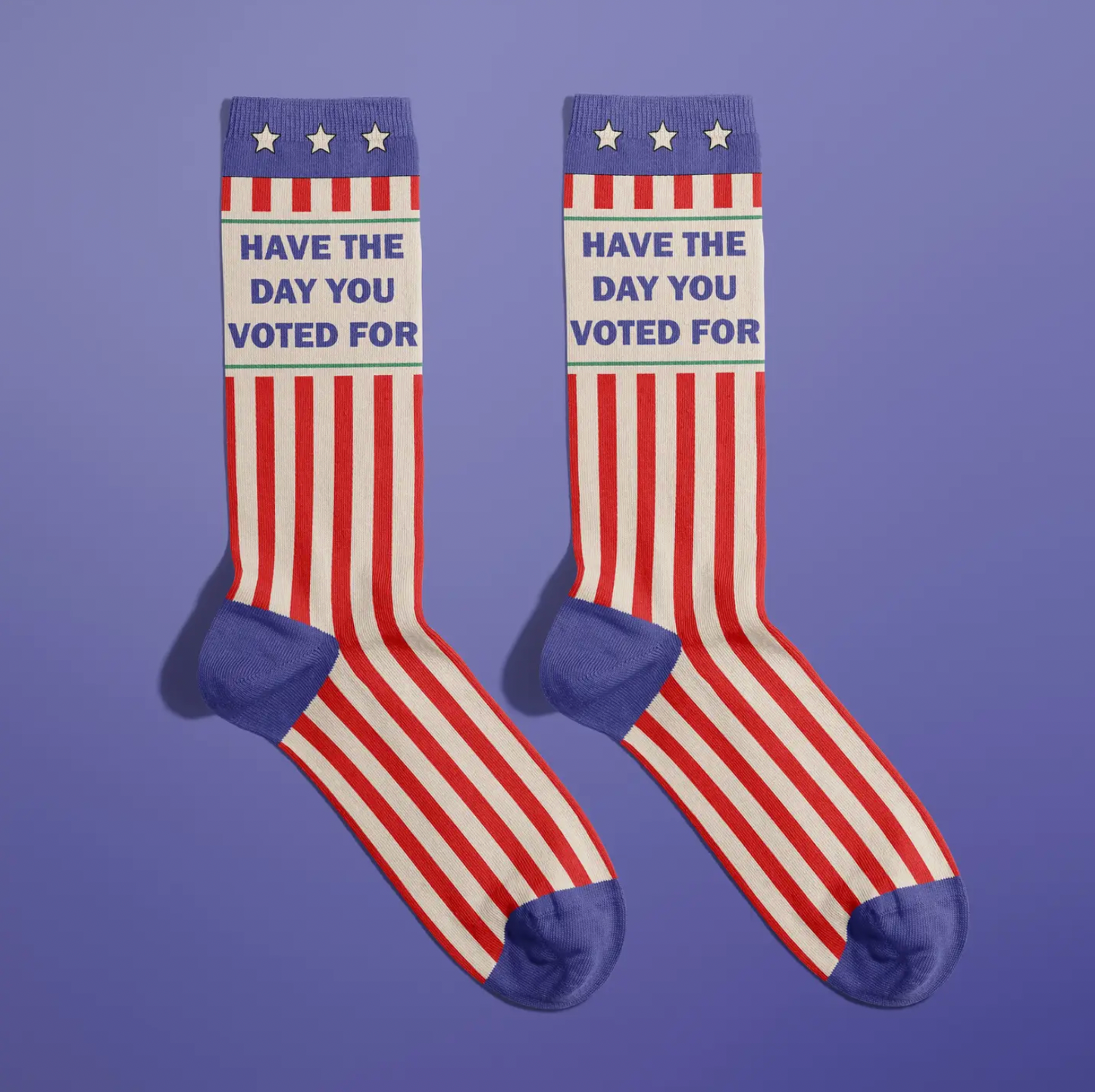Have The Day You Voted For Socks