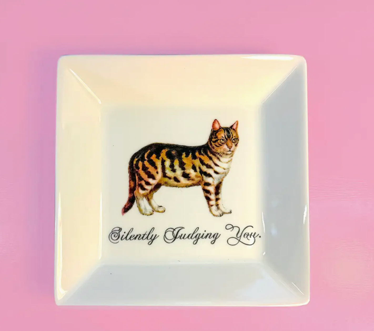 Silently Judging You Trinket Tray