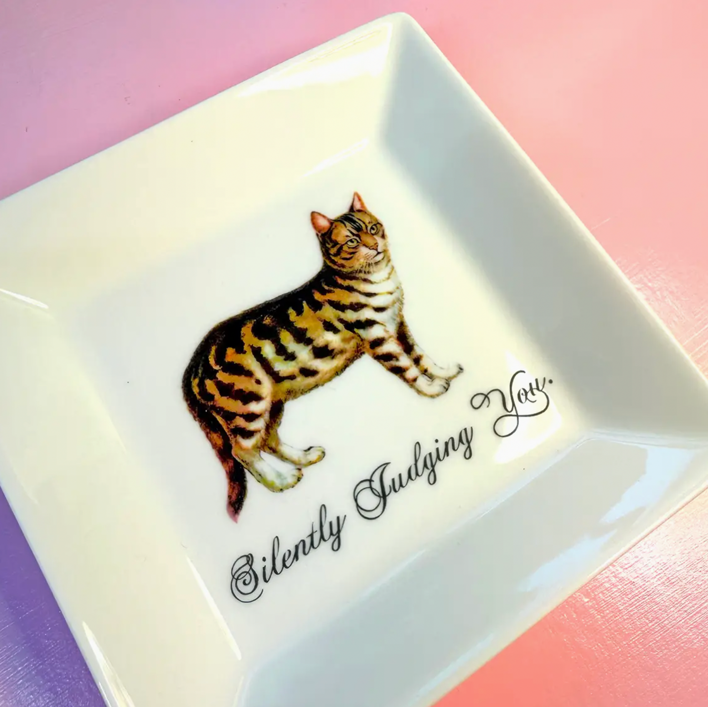 Silently Judging You Trinket Tray