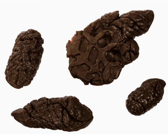 Prank U! Fake Doggo Doo Doo, Looks So Real - 4 Pieces