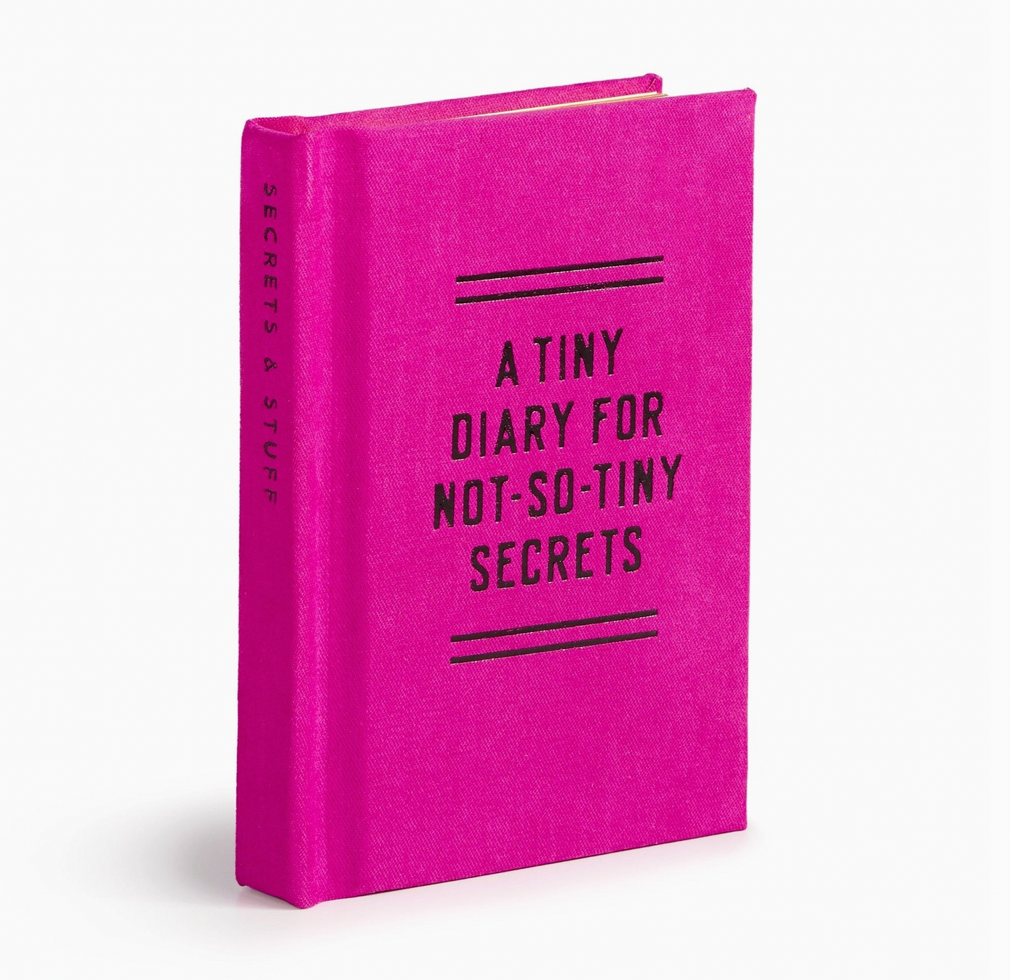 Tiny Diary For Not So Tiny Secrets
