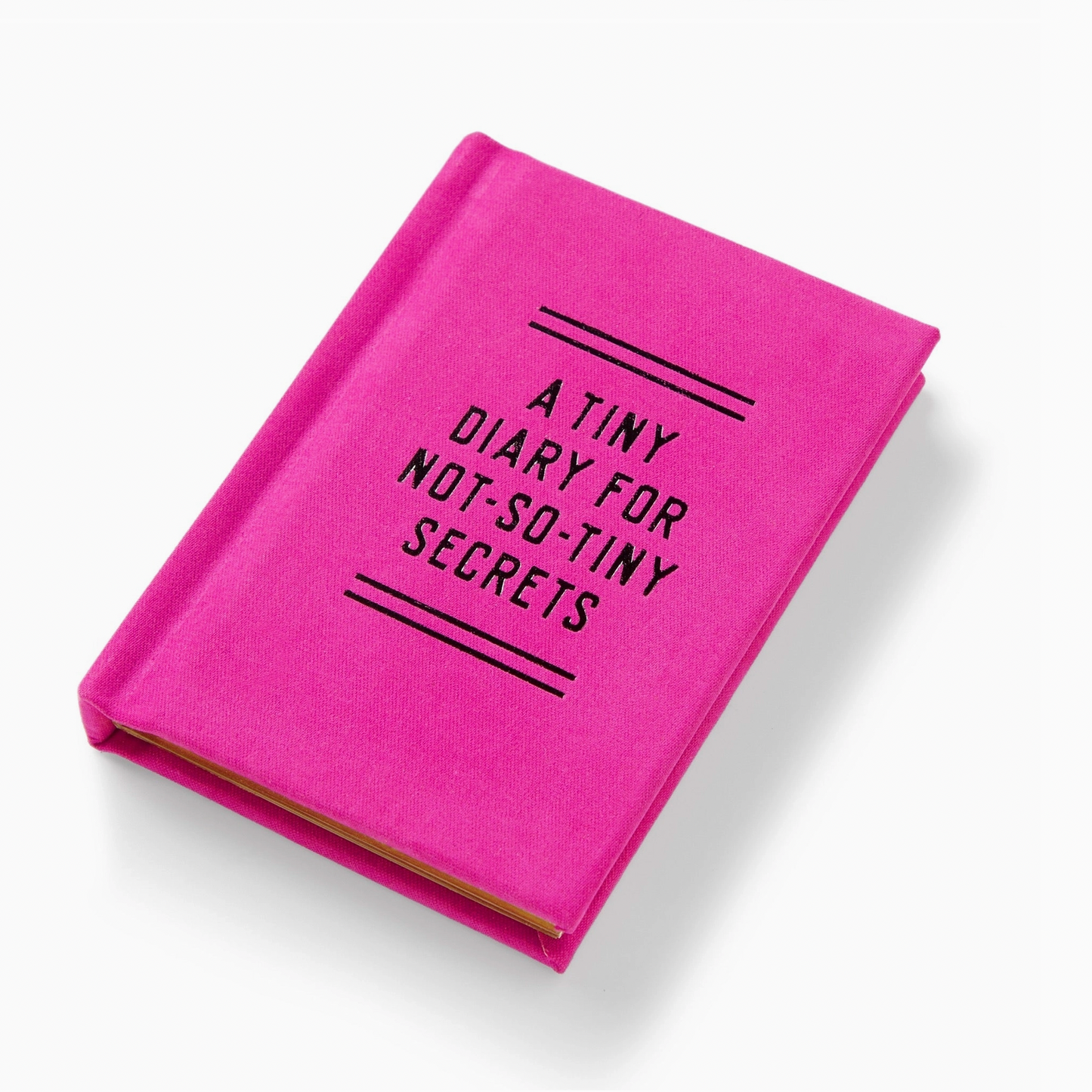 Tiny Diary For Not So Tiny Secrets