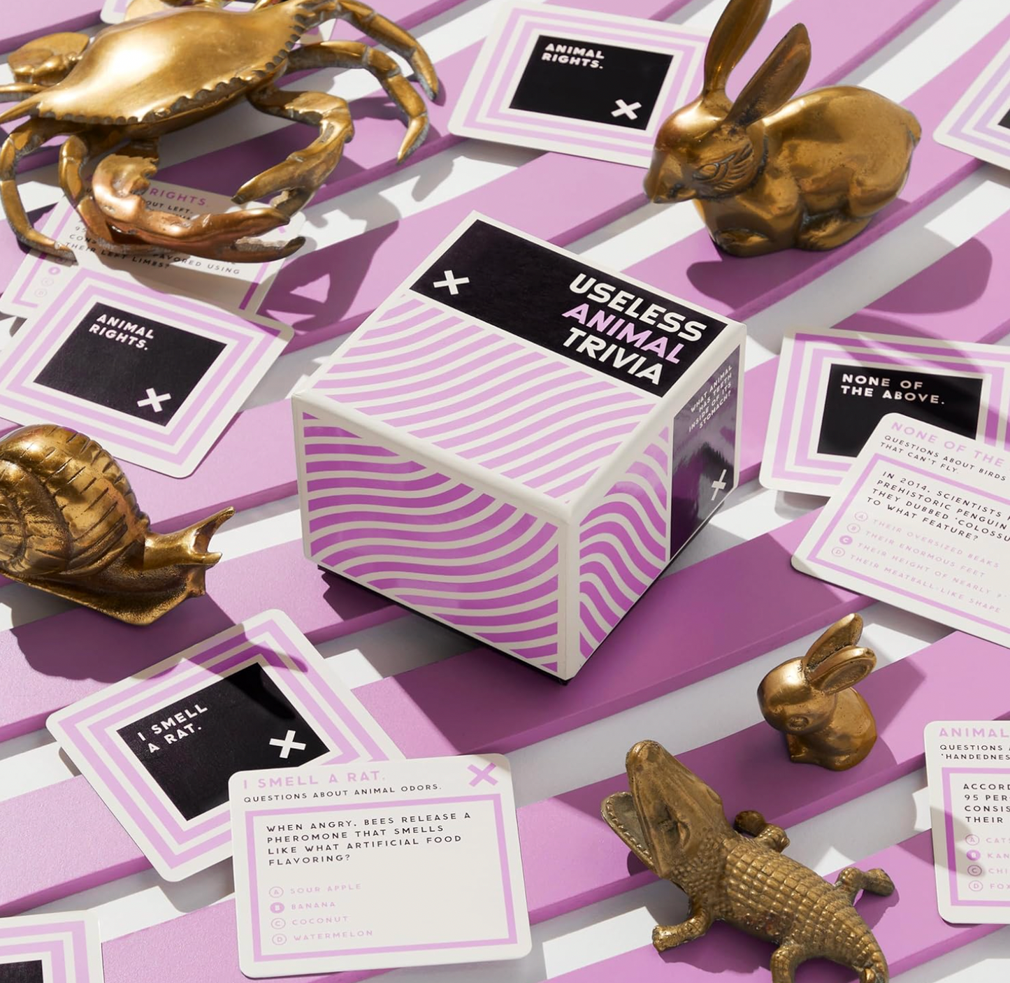 Useless Animal Trivia Card Game Set