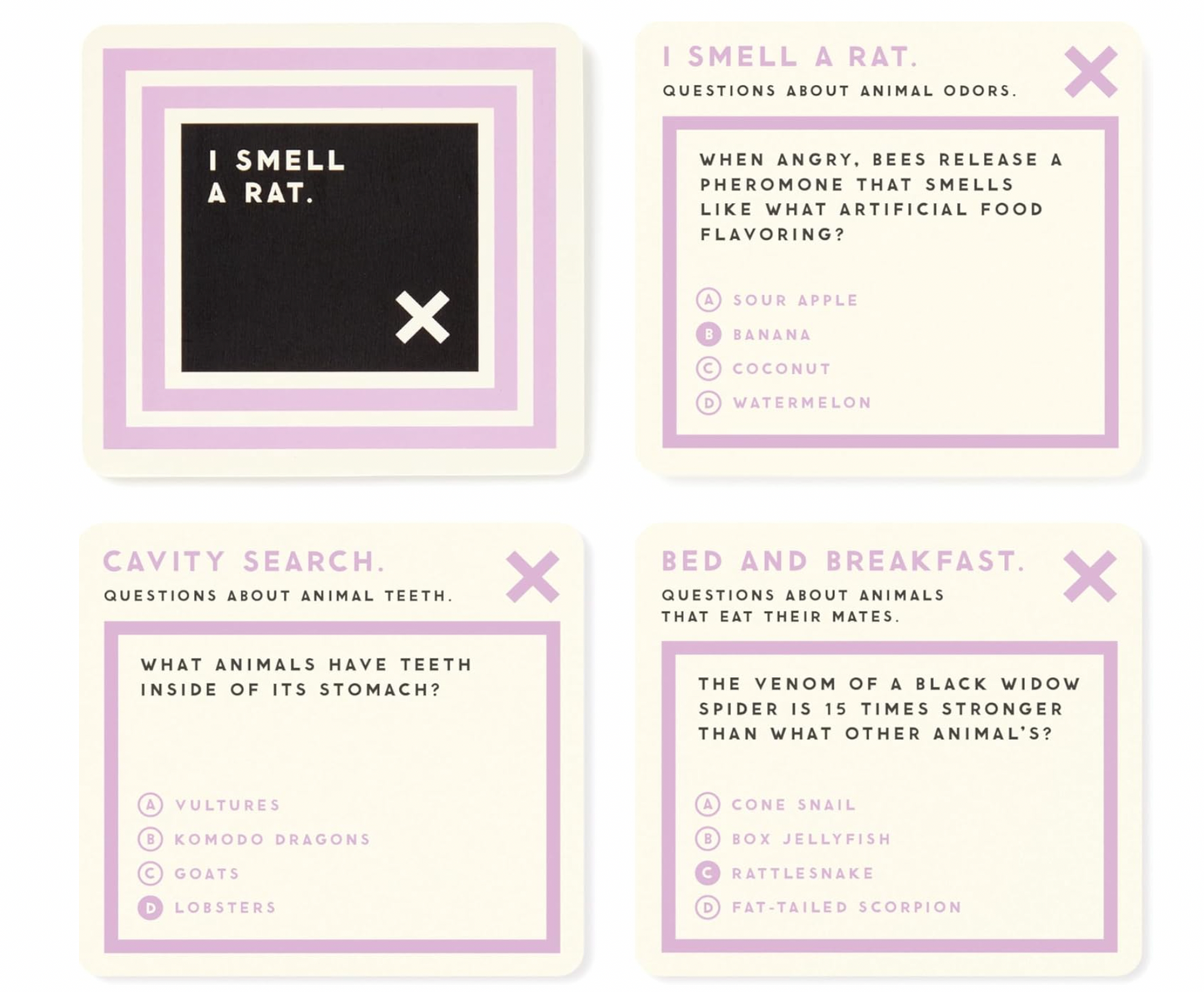 Useless Animal Trivia Card Game Set