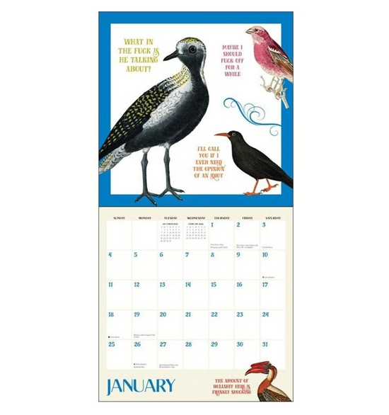 Effin Birds 2026 Wall Calendar
