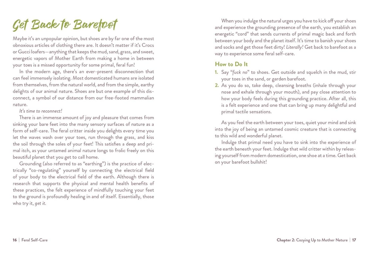 Feral Self-Care: 100 Ways to Liberate and Celebrate Your Messy, Wild, and Untamed Self Book